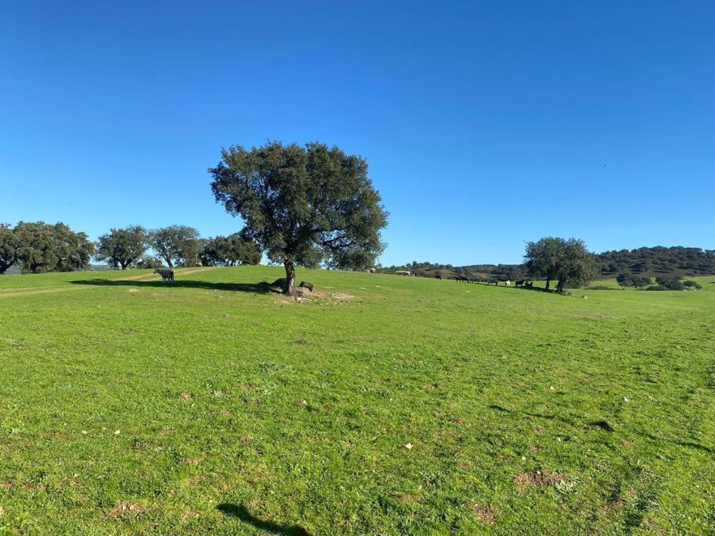 古巴Casa Bendi别墅 外观 照片